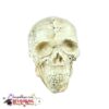 Skull Floating