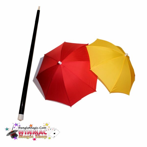 Vanishing Cane To Double Umbrella