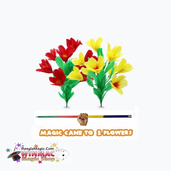 Magic Cane to 2 Flowers | জাদুর লাঠি হতে দুইটি ফুলের ম্যাজিক